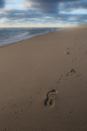 Early Footsteps