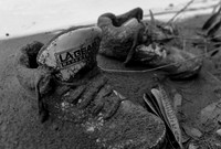 LA Kicks