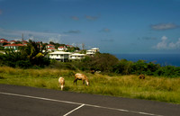 Lookout's Yard