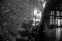 Seattle Aquarium
